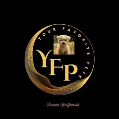 Yourfavorite Petsng